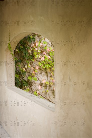 Detail of arch with ivy in opening.