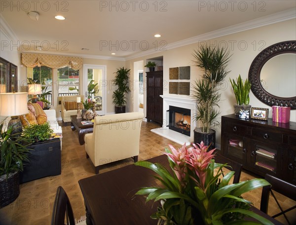 Dining room and living room of traditional home