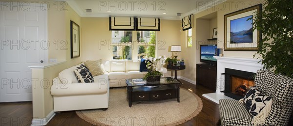 Living room with sectional sofa and circular area rug