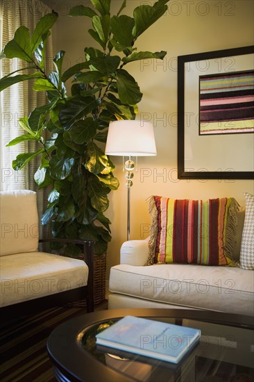 Sitting area with couches and a coffee table