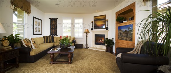 Traditional living room