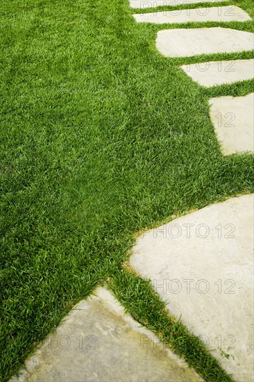 Stone stepping stone in the grass