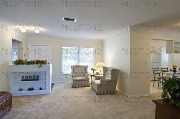 Armchairs in corner of traditional living room