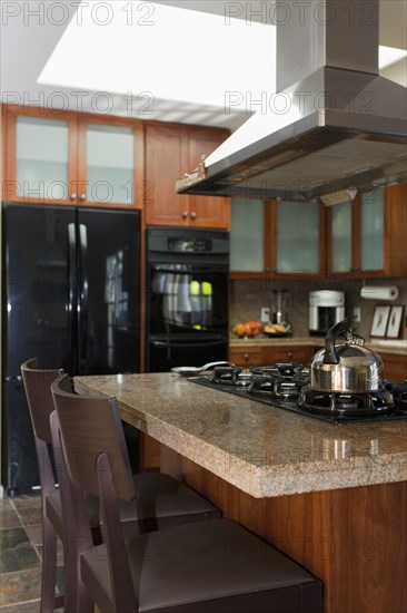 Kitchen in traditional home