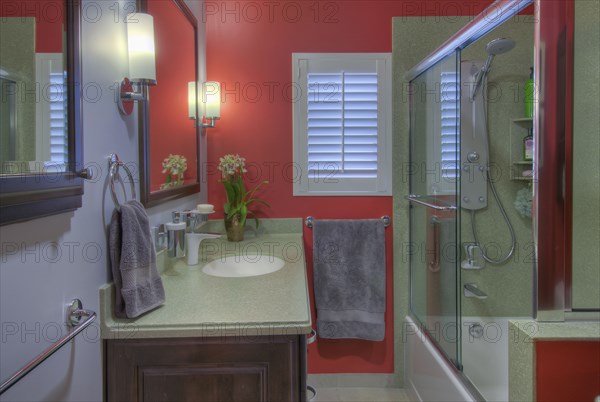 Bathroom sink and shower in contemporary house