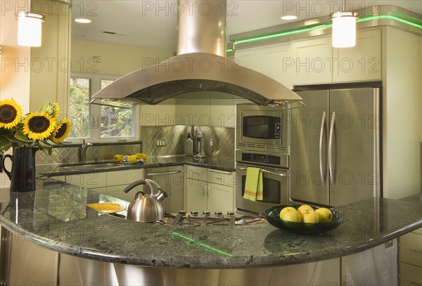 Diner style kitchen with neon lights