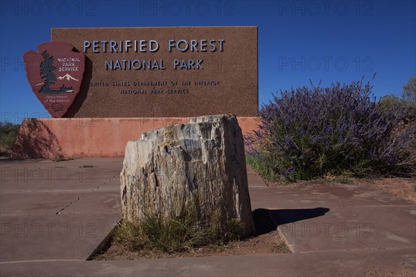 Petrified stump in front of Petrified Forest National Park sign