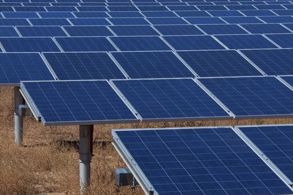 Close up of field of solar panels