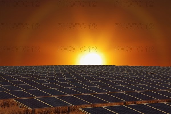 Sunset over field of solar panels