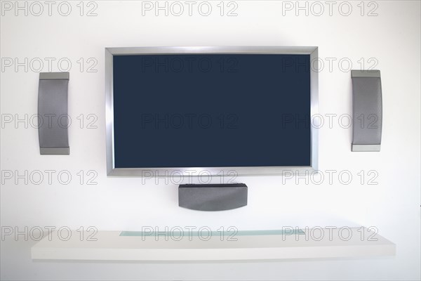 Television and speakers in modern living room