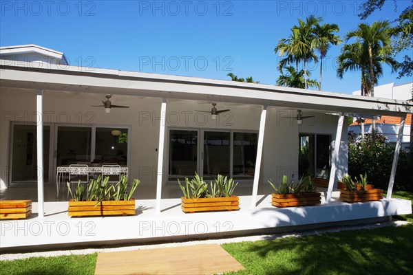 Plants and awning of patio of modern house