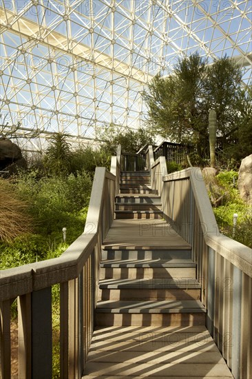 Walkway and plants in greenhouse