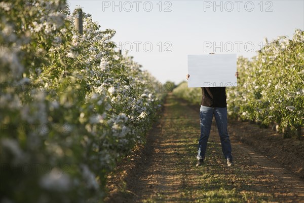 Caucasian woman holding blank placard in crop row