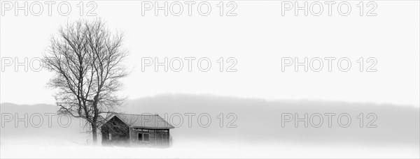 House and bare tree in snowy landscape