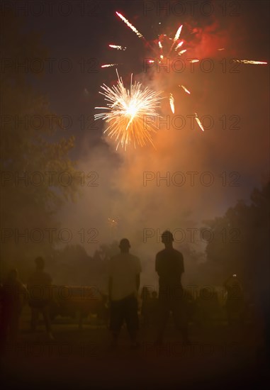 People watching fireworks in night sky