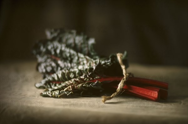 Close up of vegetable leaf