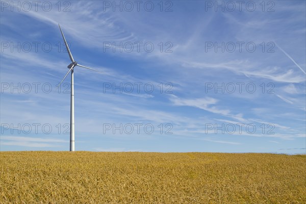 Wind turbine in rural landscape