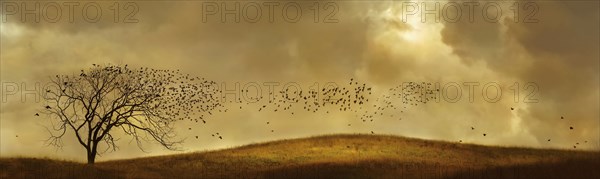 Birds flying to bare tree in rural landscape