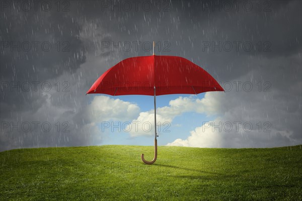 Red umbrella protecting grass from rain