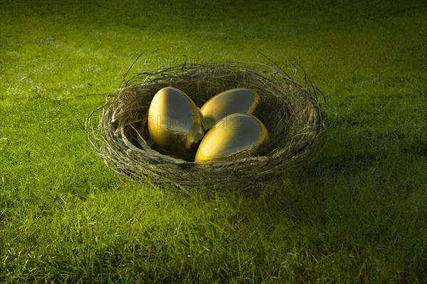 Golden eggs in bird's nest