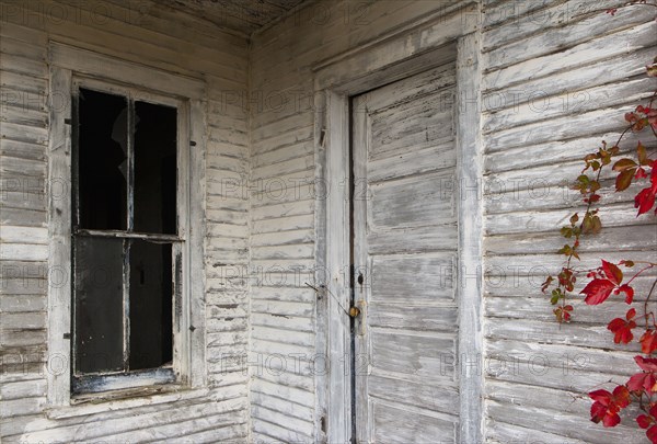 Rustic door