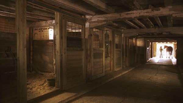 Horse barn