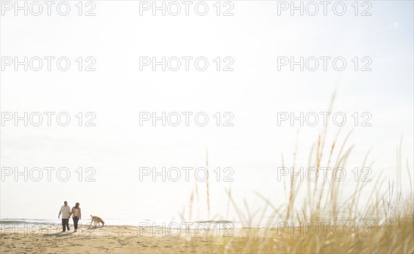 Caucasian couple walking dog on beach