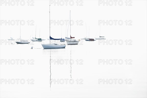 Boat masts reflecting in water