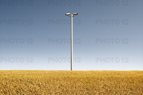 Low angle view of security cameras in crop field