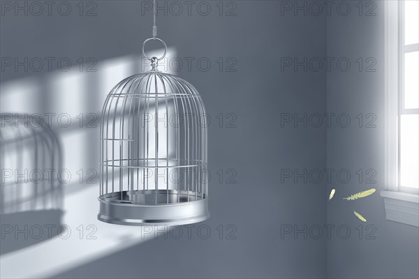 Feathers floating near empty birdcage