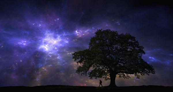 Silhouette of man and tree under night sky