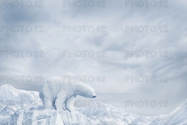 Polar bear standing on glacier