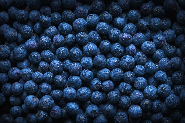 Pile of fresh wet blueberries