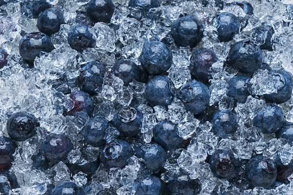 Blueberries on ice