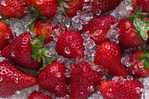 Strawberries on ice