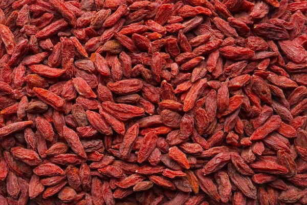 Pile of goji berries