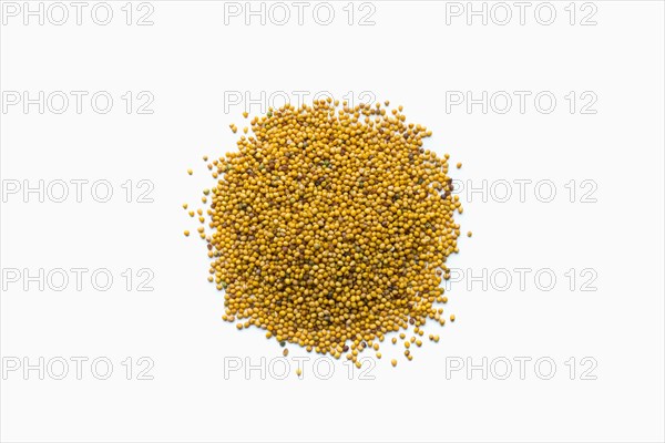 Pile of mustard seeds in shape of a circle