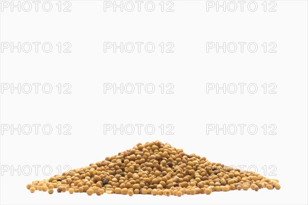 Pile of brown seeds