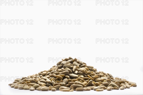 Pile of sunflower seeds