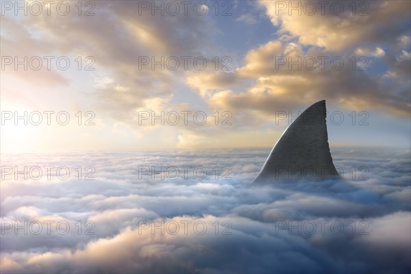 Shark fin above clouds