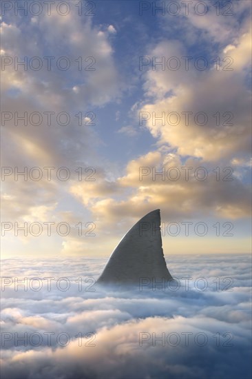Shark fin above clouds