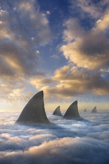 Shark fins above clouds