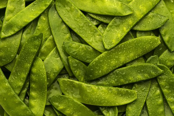 Pile of wet green peas in pods