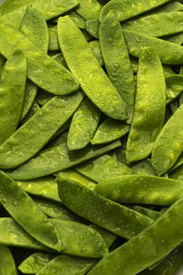 Pile of wet green peas in pods