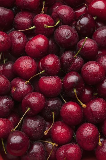 Pile of wet red cherries