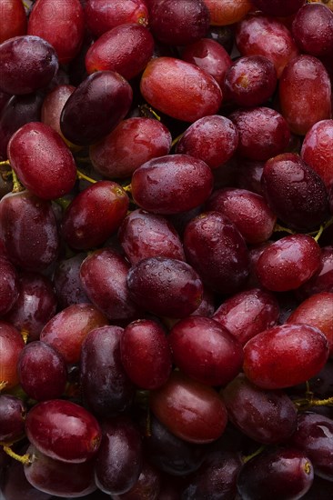 Pile of fresh wet purple grapes