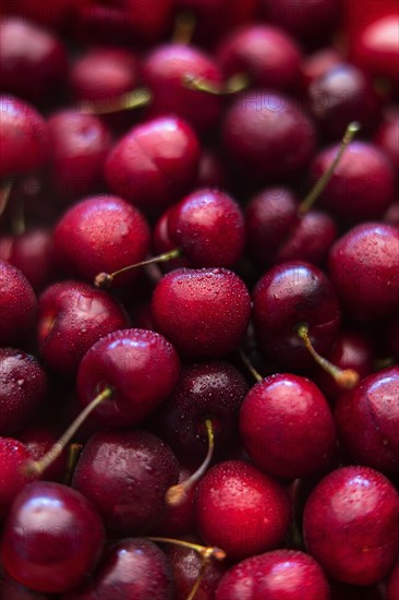 Pile of wet red cherries