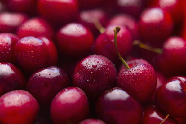 Pile of wet red cherries