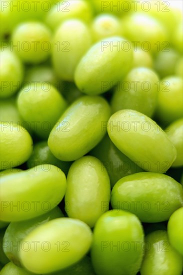 Pile of fresh wet green grapes