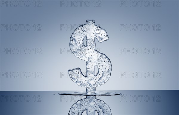 Puddle under melting ice dollar symbol